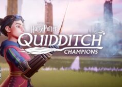 Harry-Potter-Quidditch-Champions